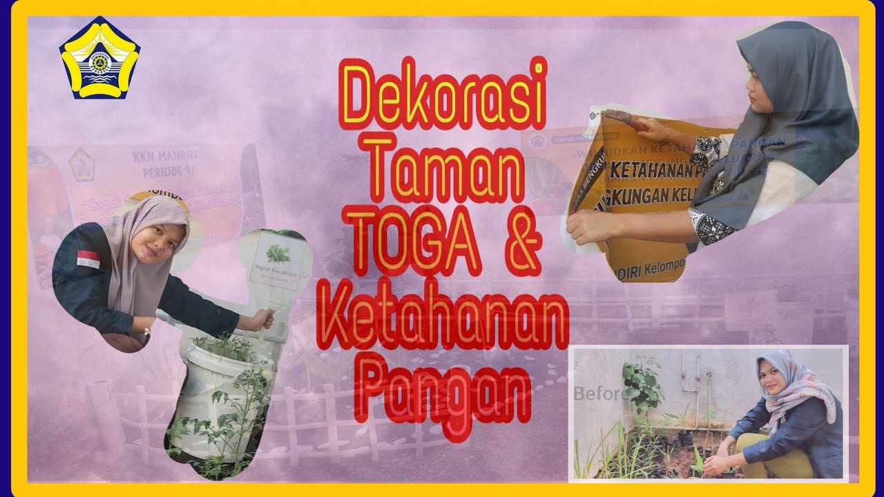 VLOG KKN DEKORASI TAMAN TOGA  DAN TAMAN  KETAHANAN PANGAN 