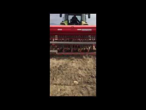 \"საპატრიქროს \"გემოვანის\" ორგანიზებით 8ჰა დაითესა საგურამოში