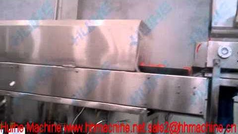 tomato sauce production equipment operation video demo