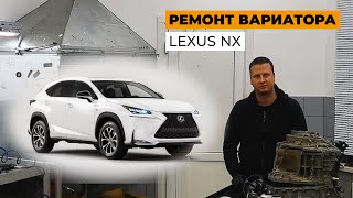 :   114F  Lexus NX