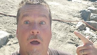 Live update from the Avenger pond | Sandy Beach tips!