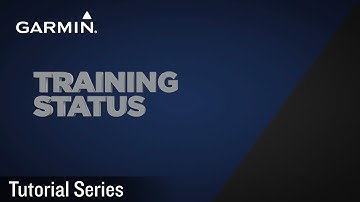 Tutorial - Training Status
