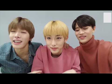 [NCT 윈윈/유타/태일] 윈윈이 지킴이 태일이형