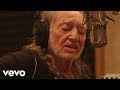 Willie nelson merle haggard  its all going to pot official