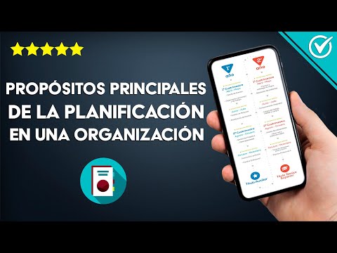 ¿Cuáles son los Propósitos Principales de la Planificación en una Organización?