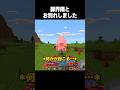 豚界隈とお別れ #minecraft