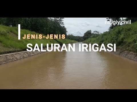 Video: Apakah jenis saluran?