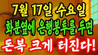 7월 17일 금전운 상승 개운법ㅣ화분옆에 은행봉투를 두면 돈복 크게 터진다 (돈복 터지는 생활풍수)
