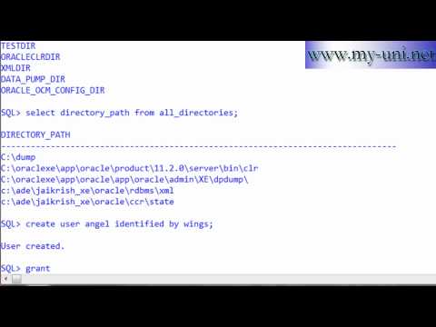 Data Pump, Oracle DBA 1e17