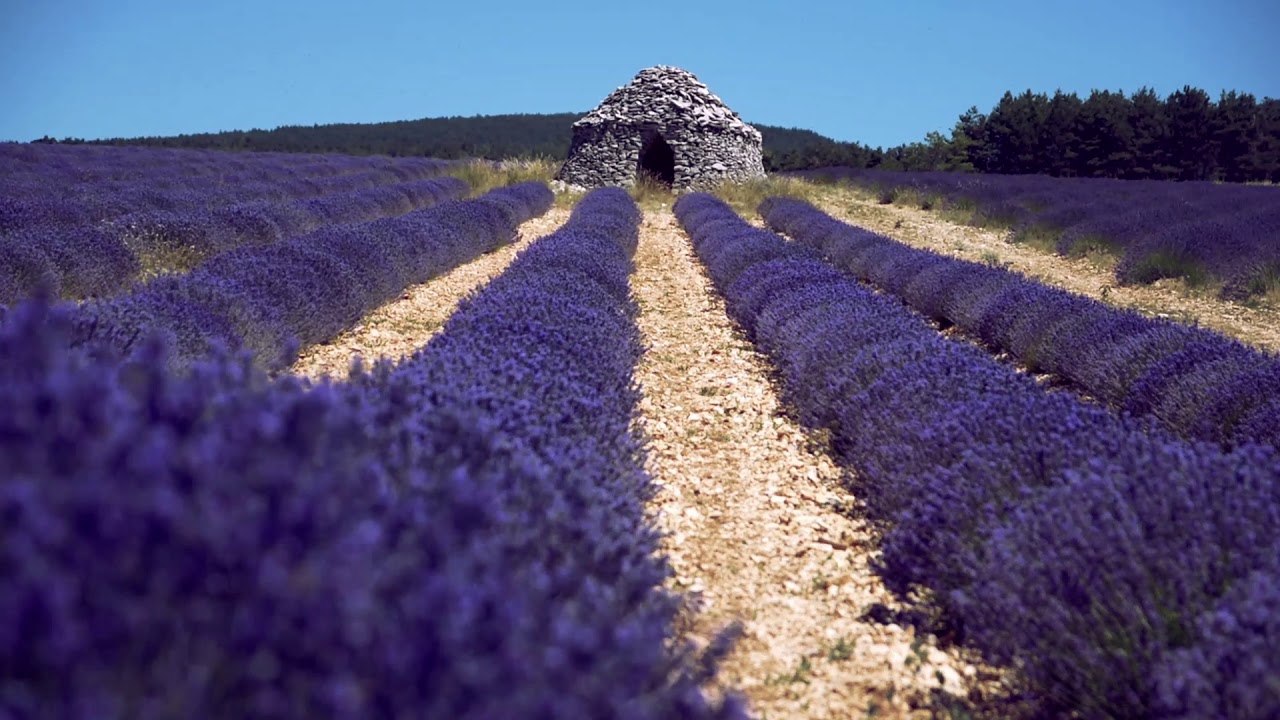 Provence - YouTube