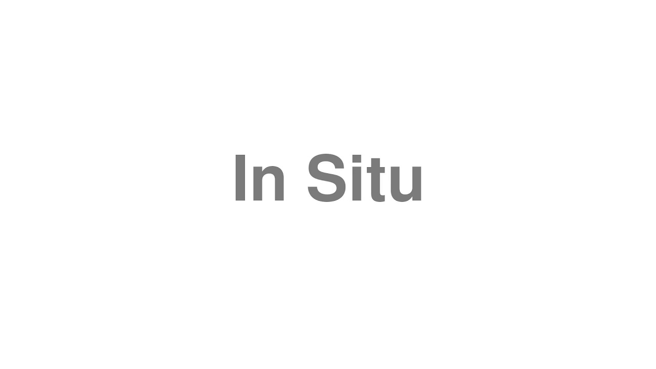 How to Pronounce "In Situ"