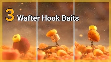 **3 Alternative Wafter Hook Baits** To use over Spomb Mix ꟾ Ronnie Rig ꟾ Carp Fishing