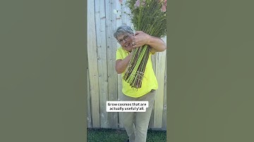 How do I get long, beautiful abundant stems? Timing y’all