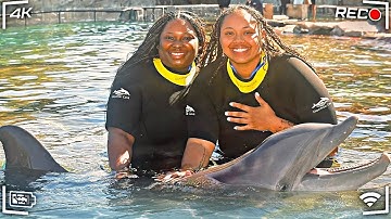 THIS HAPPENED WHILE SWIMMING WITH DOLPHINS