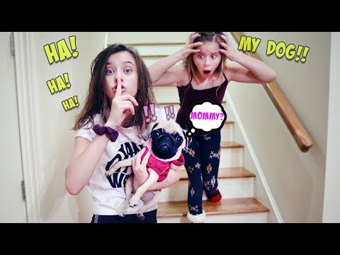 i-kidnapped-my-sister's-puppy-for-the-day!!!