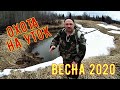 ОХОТА НА УТКУ ВЕСНА 2020/ОХОТА НА КРАЙНЕМ СЕВЕРЕ ВЕСНА 2020