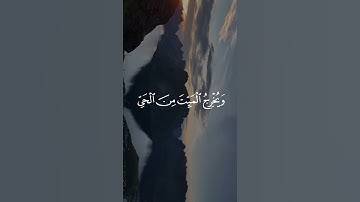 قل من يرزقكم من السماء والارض/ القارئ عبدالرحمن مسعد #قرآن