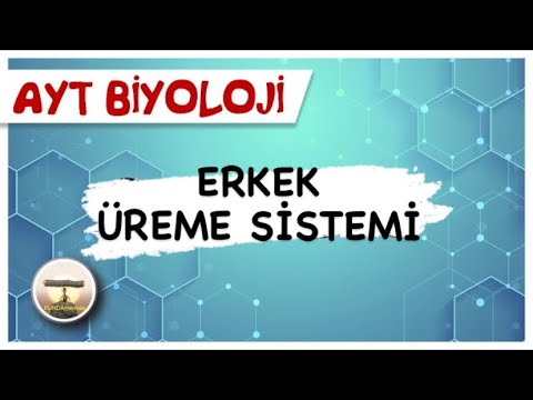 AYT Biyoloji |