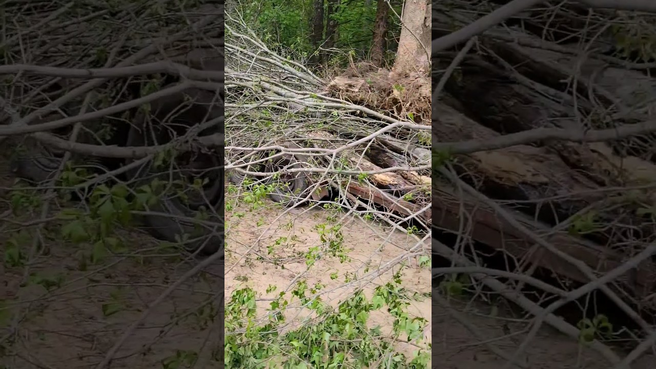 brush clearing YouTube