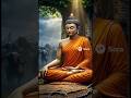 #buddha #meditation #พระพุทธเจ้า #仏陀