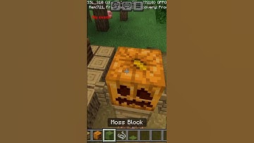 Minecraft scarecrow in 40 seconds 😲🔥🤯 #minecraft #gaming #youtube #shorts #minecraftbuild #youtube