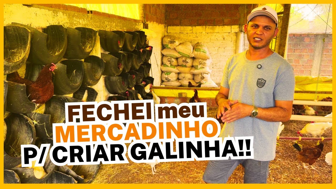 FECHEI meu MERCADINHO para PRODUZIR OVOS CAIPIRAS