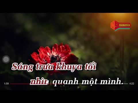 Karaoke Một Mình/Thuỳ Tâm/Tone nữ cao