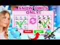 Trading *NEW* LEGENDARY SNOW OWL ONLY In Adopt Me! (Roblox)