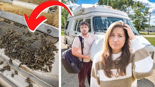 Our Campervan Is INFESTED! Worst Week Of Vanlife