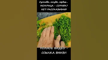 Мокрица Звездчатка Супер Растение Для Здоровья, Красоты и Долголетия Что Лечит Трава МОКРИЦА #SHORTS