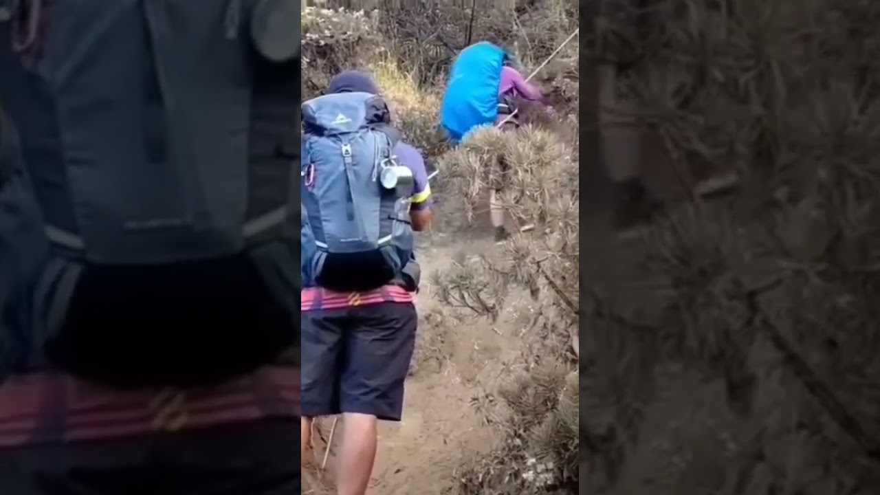 Pendakian ke Puncak Ciremai via Sadarehe, Pos 7-Pos 8 (Kawah Burung)-Agustus23. Jalur berdebu tebal.