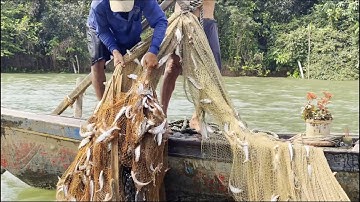 Chài rà trên sông Long Thuận - Sông Nước Cửu Long - Nguyễn Hùng