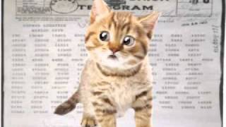 Tutorial On The Zimmermann Note Or Telegram, 1917 World War I