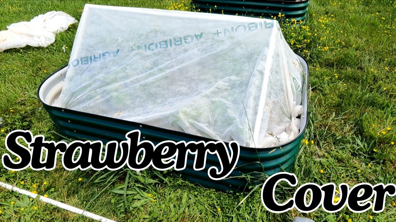 Building An Easy Raised Bed Cover