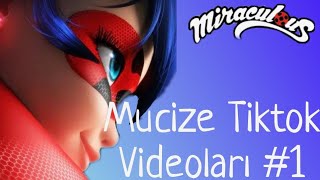 Mucize Tiktok Videoları Tiktok Mucize Uğur Böceği Ile Kara Kedi