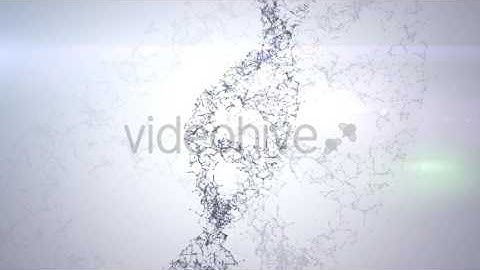 Plexus DNA Strand #1