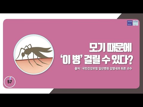 [60초 건강툰] 모기 때문에 &rsquo;이 병&rsquo; 걸릴 수 있다?