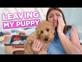 Leaving my Puppy (Hiccup) for the First Time 😭 | Traveling Home for Thanksgiving