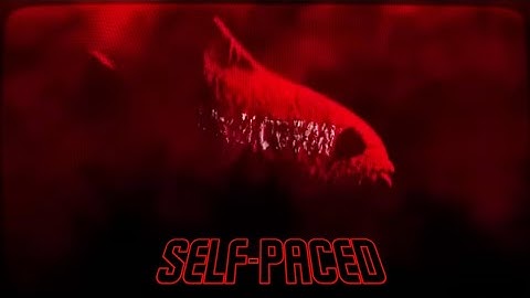 "Self-Fish" FNF Cover (Self-Paced but lies fish and spongebob sing it)