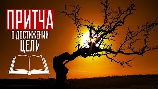 История про фермера и кукурузу от Софьи Атласовой / Притча о достижении цели История про фермера и кукурузу от Софьи Атласовой / Притча о достижении цели