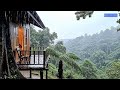 Healing Rain Forest Atmosphere with Piano for Deep Sleep