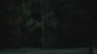 Taj and Charlotte Love Story