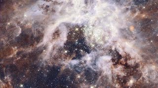 Zoom into the Tarantula Nebula