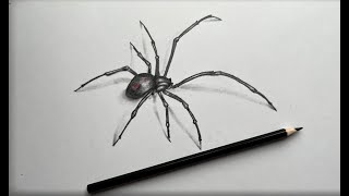 Cómo debujar un Araña|paso o paso|Рисуем Паука каракурта|spider|mejor