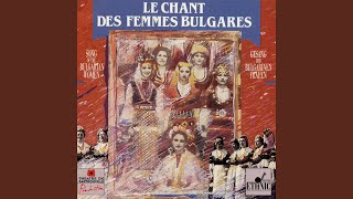 Download Lagu Le givre est tombé (feat. Elena Bojkova) MP3