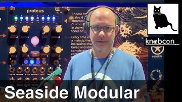 A Eurorack module that gets bored? Seaside Modular Proteus #Knobcon