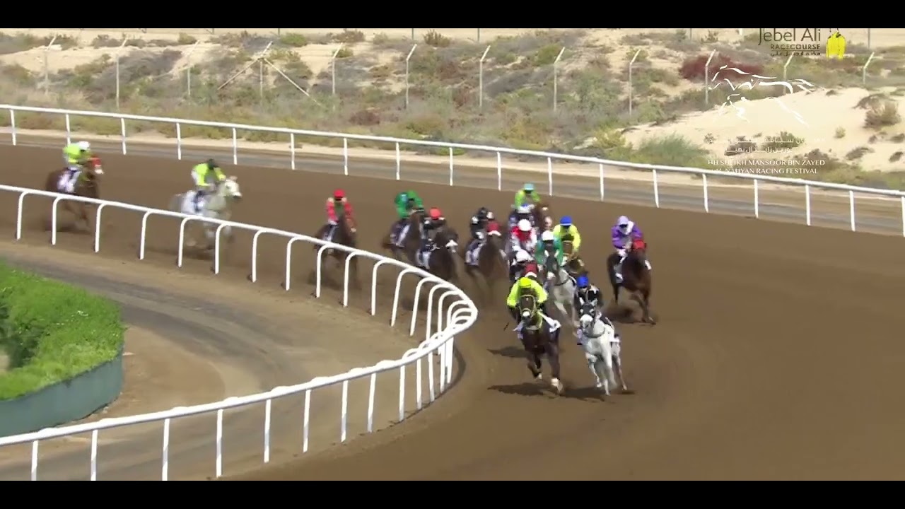 WATHBA STALLIONS CUP HH SHEIKH MANSOOR BIN ZYED RACING FESTIVAL- JEBEL ALI RACECOURSE | 16/12/2023