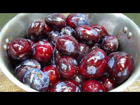 Супер ЗАКУСКА из Сливы! До того вкусная, невозможно остановиться! Маринованные Сливы на Зиму!