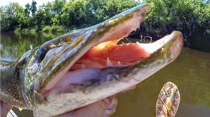 Pike And Muskie Were CRUSHING The Whopper Plopper!