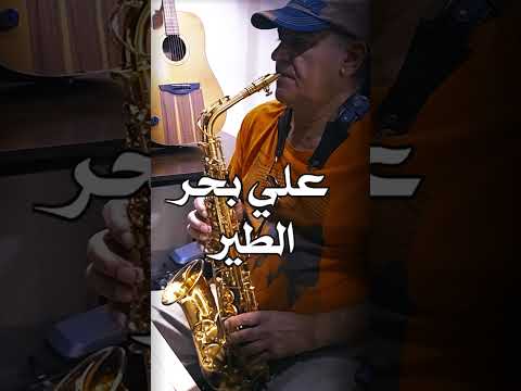 Ali Bahar Al Tair علي بحر يطير الطير للجنه 